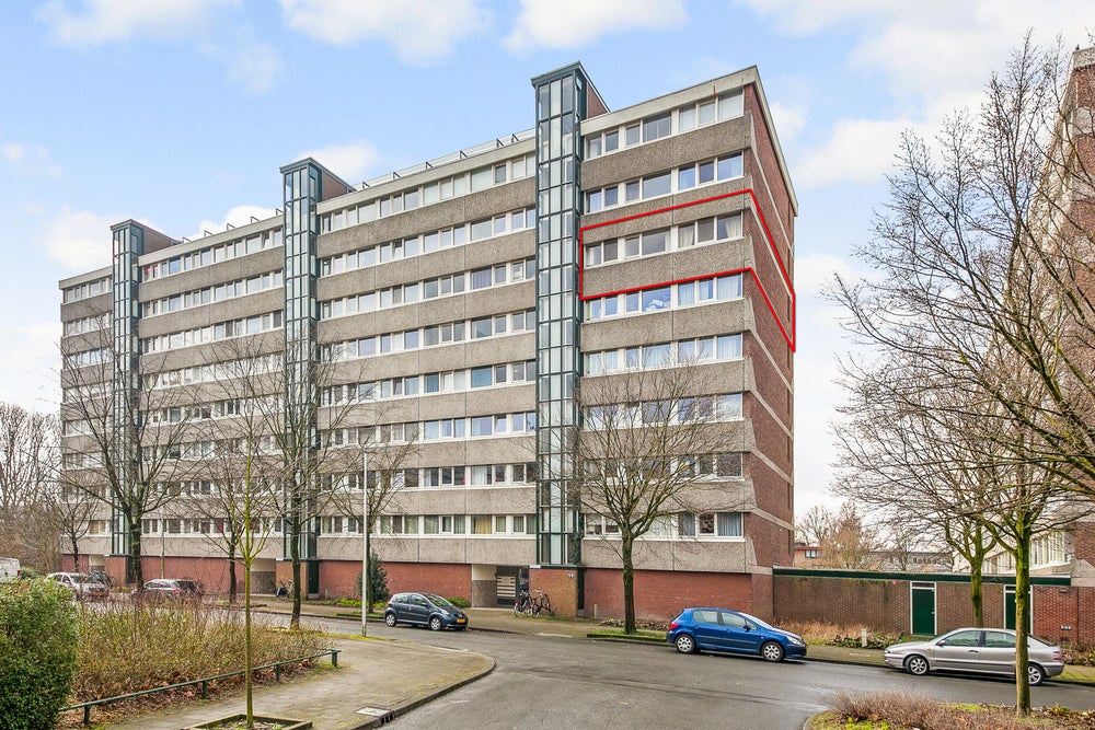 https://hellocity.nl/wp-content/uploads/2025/09/915bf571.jpg